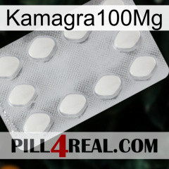 Kamagra100Mg 16